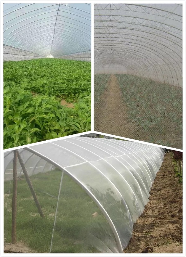 640.webp (2).jpg 640.webp (2).jpg